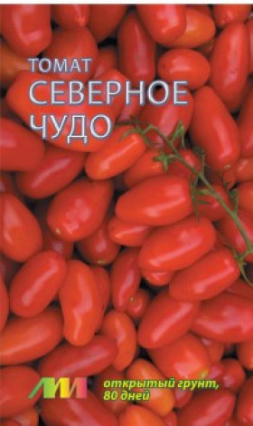 Северное чудо /Мязина