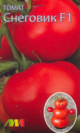 Снеговик /Мязина