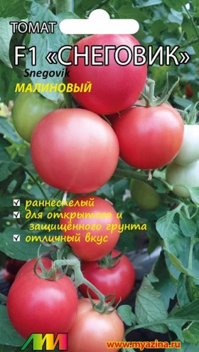 Снеговик малиновый /Мязина