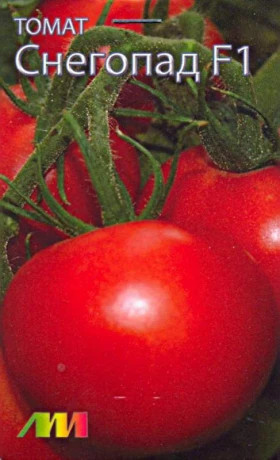 Снегопад /Мязина