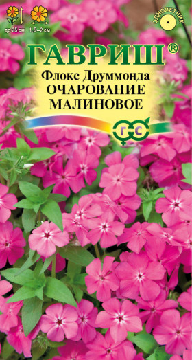 Очарование малиновое Ц(Г)