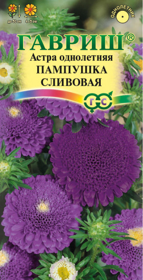 Пампушка сливовая Ц(Г)