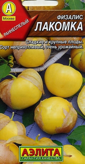 Лакомка Ц(А) физалис