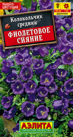 Фиолетовое сияние Ц(А)