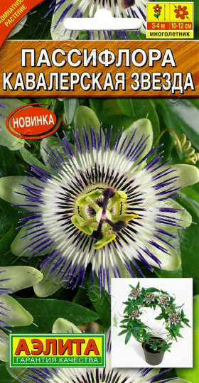 Кавалерская звезда Ц(А)