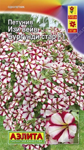 Изи Вейв бургунди стар F1  Ц(А)