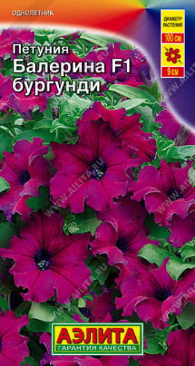 Балерина бургунди  Ц(А)