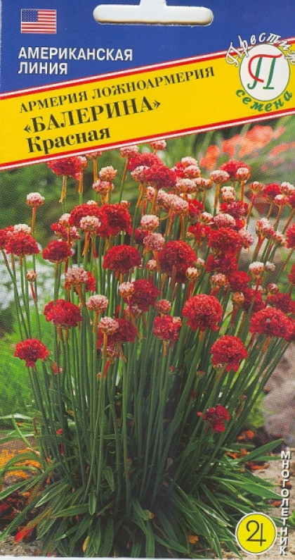 Балерина красная Ц(П)