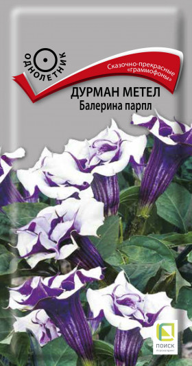 Балерина парпл метел Ц(Поиск)
