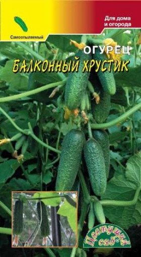 Балконный Хрустик F1/Цветущий Сад