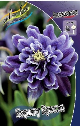 Барлоу Криста  3шт