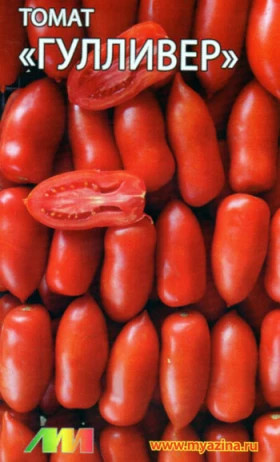 Гулливер /Мязина