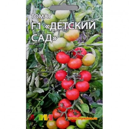 Детский сад /Мязина