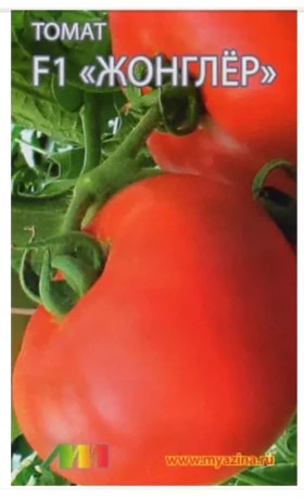 Жонглер /Мязина