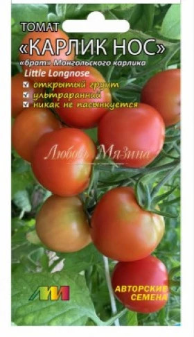 Карлик нос /Мязина