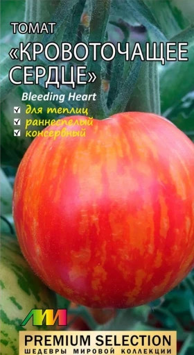 Кровоточащее сердце /Мязина