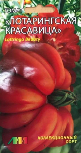 Лотарингская красавица красная /Мязина