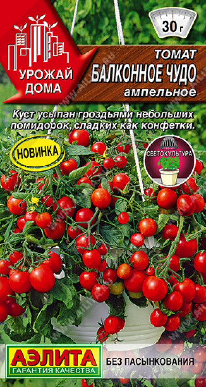 Балконное чудо (ампельное) Ц(А)