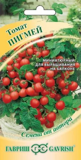 Пигмей комнат. Ц(Г)