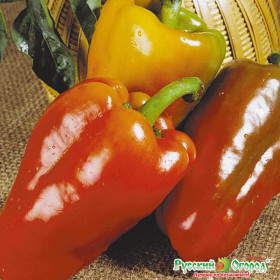 Пик-НК 2000 слад. 0,6гр Ц(Н)