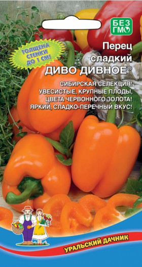 Диво Дивное Ц(УД)  (2898                     )