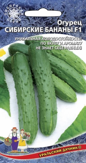 Сибирские бананы Ц(УД)