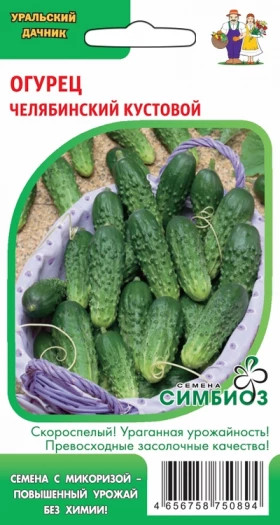 Челябинский кустовой (Симбиоз) Ц(УД)