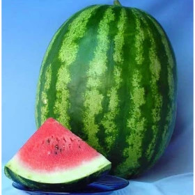 Ау Продюсер 10шт/ Элитные Семена