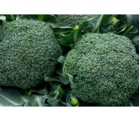 брокколи Монрелло 30шт/ Элитные Семена