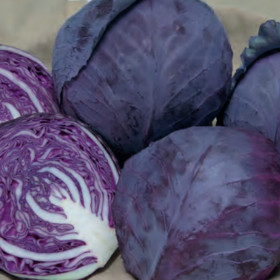 к\к Руби Перфекшн 15шт/ Элитные Семена