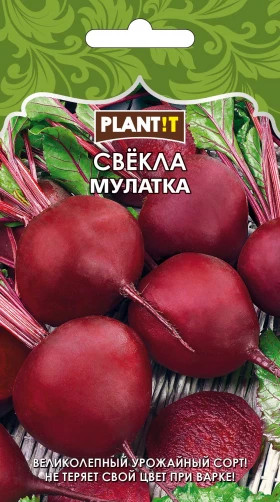 Свекла Мулатка Plantit
