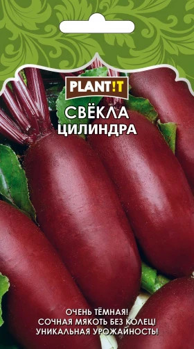 Свекла Цилиндра Plantit