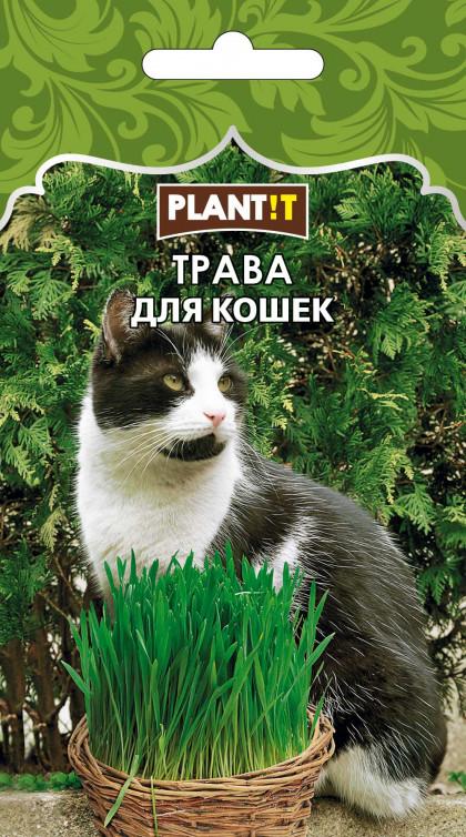 Трава для кошек Plantit