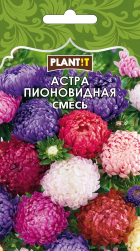 Астра Пионовидная смесь Plantit