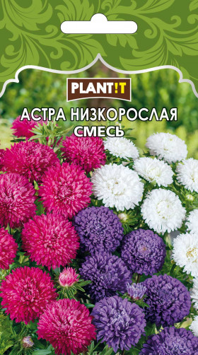 Астра Низкорослая смесь Plantit