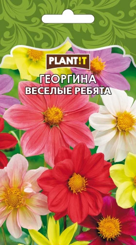 Георгина Веселые ребята Plantit