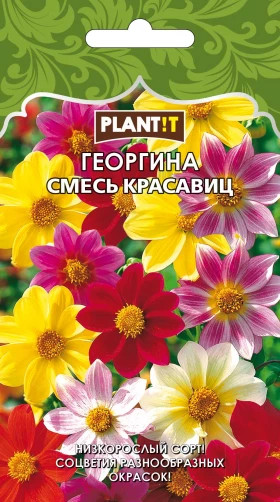 Георгина Смесь красавиц Plantit