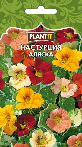 Настурция Аляска смесь Plantit