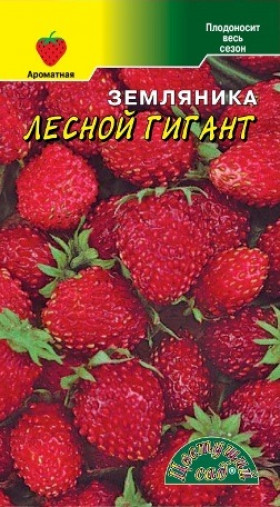 Лесной гигант крупномер/Цветущий Сад