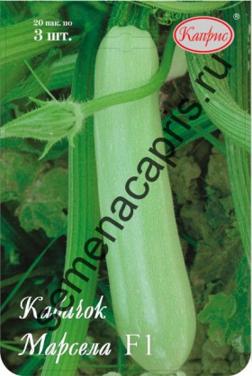 Кабачок Марсела Каприс