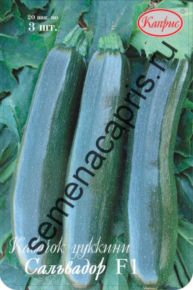 Кабачок Сальвадор Каприс