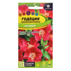 Метеор Ц(Алт)