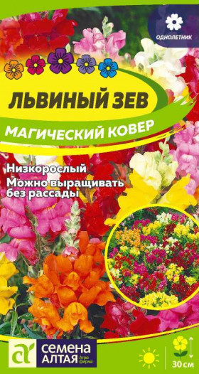 Магический Ковер Ц(Алт) *