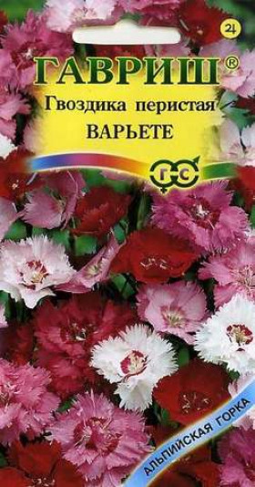 Варьете перистая Ц(Г)