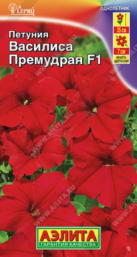 Василиса Премудрая Ц(А)