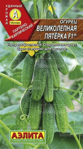 Великолепная пятерка Ц(А)