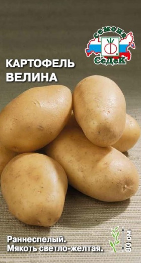 Велина Ц(С)
