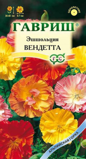 Вендетта Ц(Г)