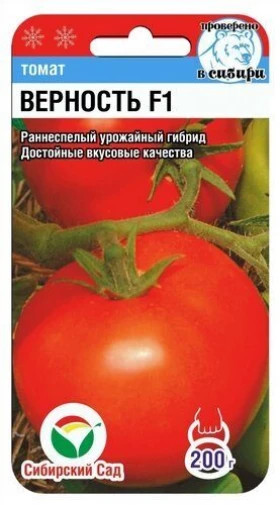 Верность СС