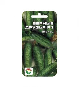 Верные Друзья СС